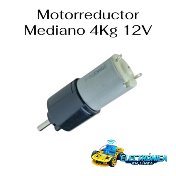 Motorreductor Mediano 4Kg 12V